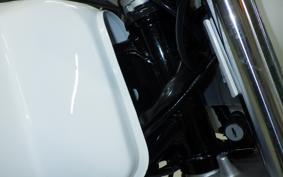 SUZUKI TS185