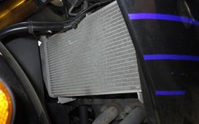 YAMAHA YZF-R25 A RG43J