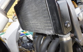 HONDA HORNET 250 MC31