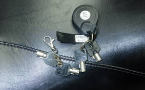 HARLEY FLHX 1750 2017