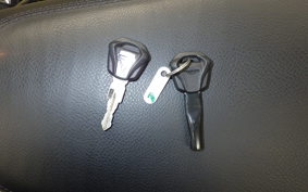 TRIUMPH BONNEVILLE T100 2024