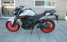YAMAHA MT-25 RG43J