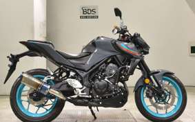 YAMAHA MT-25 A RG74J