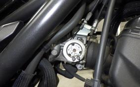 HONDA REBEL 250 2013 MC49