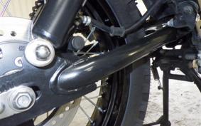 OTHER +UNREGISTERED MODEL by BDS