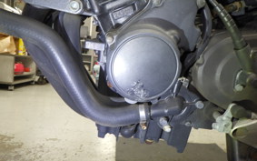 HONDA HORNET 250 2024 MC31