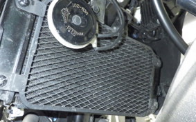SUZUKI V-STROM 250 2025