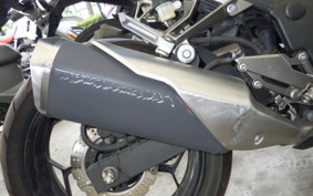 KAWASAKI NINJA 250 EX250L