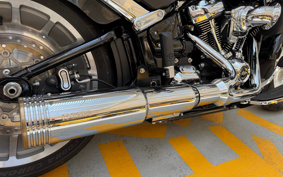 HARLEY  HARLEY FLFBS 2021 YGK