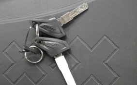 DUCATI SCRAMBLER ICON 2024