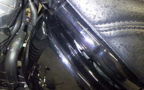 HARLEY FXST1750 2025
