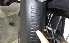 YAMAHA TENERE 700 2021 DM09J