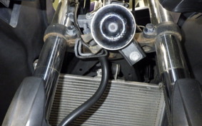 YAMAHA YZF-R25 1998 RG10J