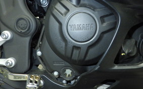 YAMAHA YZF-R3 2021 RH13J