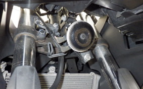 YAMAHA YZF-R25 RG10J