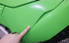 KAWASAKI KX250 2007 KX252E