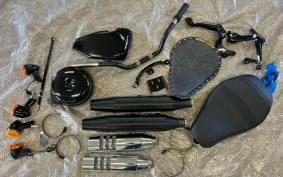 HARLEY XL1200X FINAL ED 2022 LC3