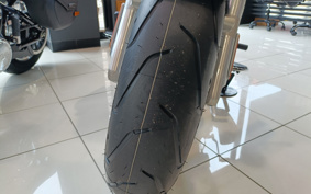 HARLEY  HARLEY FLFB 2025 YF9