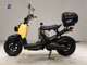 Фото Honda ZOOMER 2011 с японского аукциона