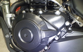SUZUKI Vｽﾄﾛｰﾑ250 2022