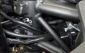 KAWASAKI NINJA 250 ZX250E