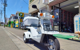 HONDA GYRO TD02
