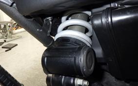 TRIUMPH SPEED 400 2024
