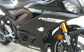 YAMAHA YZF-R25 RG43J