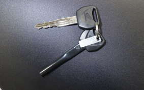 HONDA REBEL 250 E-Clutch 2022 MC49