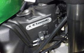 KAWASAKI NINJA 1000 A 2019 ZXT00W