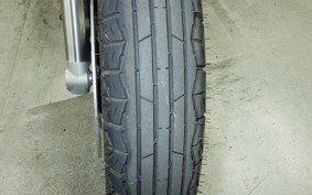 KAWASAKI W800 2021 EJ800B
