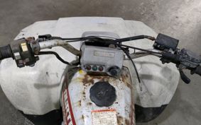 HONDA TRX300FW TE15