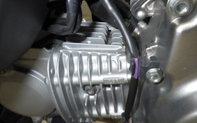HONDA MONKEY 125 2019 JB03