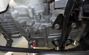 HONDA C110 SUPER CUB 2019 JA07