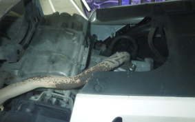 HONDA PCX125 2001 JK05