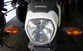 HONDA NAVI110 2025