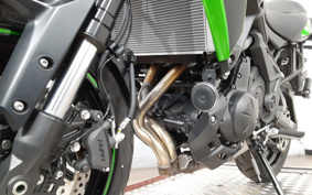 KAWASAKI VERSYS 650 2025 LE650H
