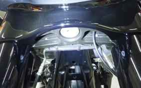 HARLEY FLHXST1920 2022