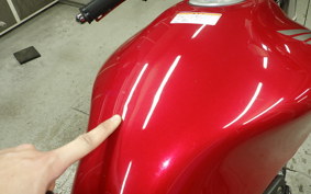 HONDA HORNET 250 2009 MC31