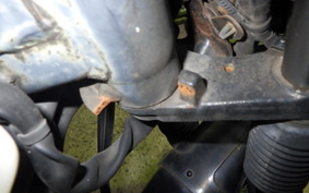 HONDA C110 SUPER CUB