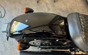 HARLEY FXBB 2020 YJJ