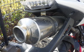 OTHER メガリ 250R