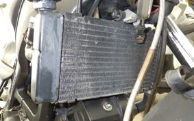 HONDA VT250 SPADA MC20