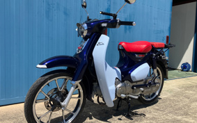 HONDA CBR600RR 2005 PC37
