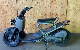 HONDA ZOOMER SPECIAL EDITION AF58