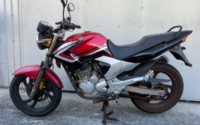 YAMAHA YBR250 PCNL