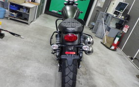 TRIUMPH SCRAMBLER 900 2021