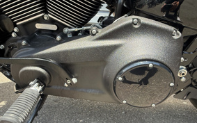 HARLEY FXLRST 2024 YXZ