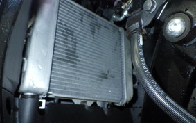 SUZUKI GSX-R125 2007 DL33B