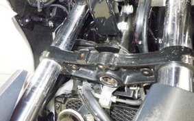 SUZUKI Vｽﾄﾛｰﾑ250A 2009